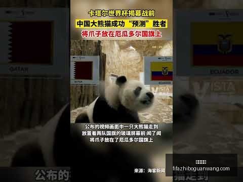 科尔维尔越,位犯规在先,判定凯塞多,米乐体育,米乐体育平台,米乐体育App,米乐体育下载
