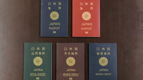 莫蘭特重返赛场助威，斩获22分11助攻，JJJ贡献21分6篮板，灰熊主场逆袭击败拓荒者